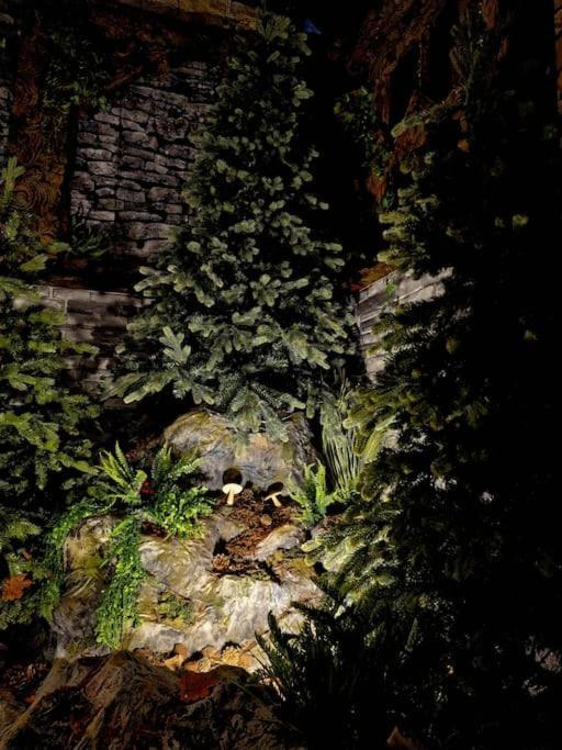 Le Enecy - Spa - Coeur Vieille Ville Annecy Luaran gambar